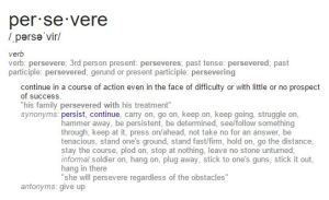 Persevere Definition